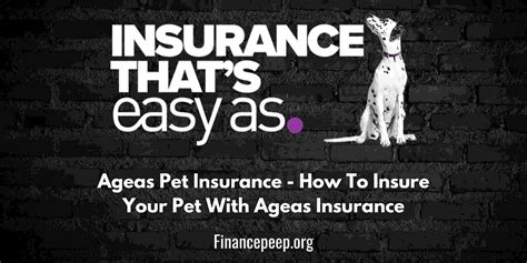 ageas pet insurance login.